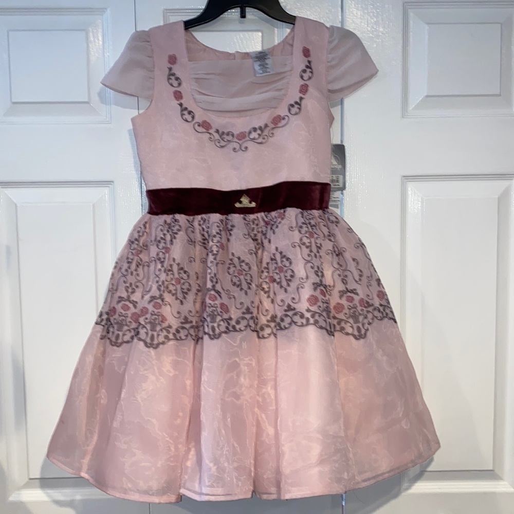 Disney princesss aurora dress nwt